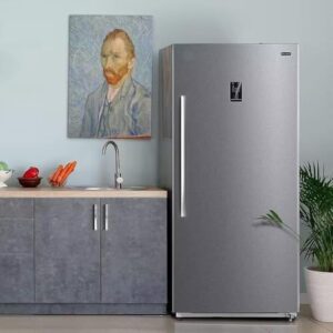 SMETA Upright Freezer, 21.8 Cu. Ft, Convertible Freezer Refrigerator for Garage and Kitchen