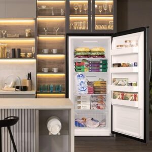 Techomey Upright Freezer 21 Cu.Ft, stainless steel, single door, lockable, quick freeze
