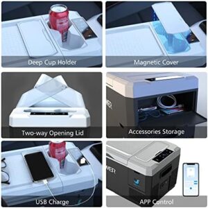 ACOPOWER LiON Mini Car Fridge Freezer 19 Quarts, compact portable fridge for cars, energy-efficient cooling solution