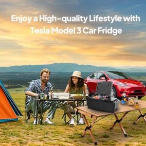Car refrigerator for Tesla Model 3 with cooling and freezing features