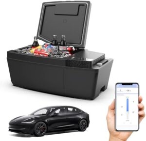 Car refrigerator for Tesla Model 3 with cooling and freezing features