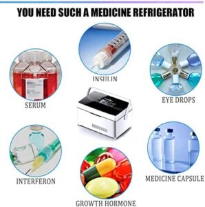 Mini Insulin Refrigerated Box for travel with battery-powered temperature control