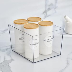 Nate Home by Nate Berkus Wide Plastic Storage Bin with Handles for Kitchen and Pantry Organization