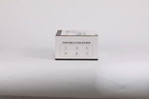 CGOLDENWALL Insulin Cooler Travel Case for safe insulin storage with USB thermostat, ideal for travel and household use.