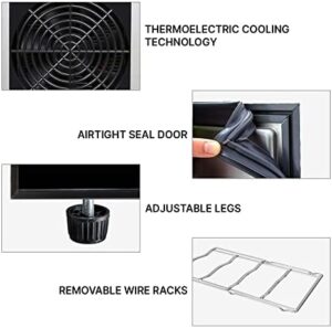 Koolatron 10 Bottle Thermoelectric Wine Cooler Black Freestanding Compact Wine Cellar