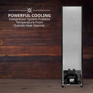 Ivation 18 Bottle Wine Fridge with Compressor, Glass Door & Lock – A stylish wine cooler for your collection