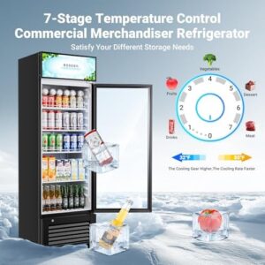 BODEGACOOLER Commercial Refrigerator with Glass Door and LED Light