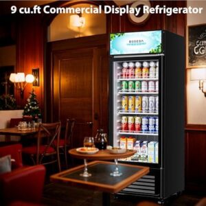 BODEGACOOLER Commercial Beverage Fridge Glass Door Display Cooler for Beer and Drinks