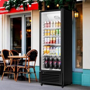 BODEGACOOLER Commercial Merchandiser Refrigerator with LED lights and adjustable shelves