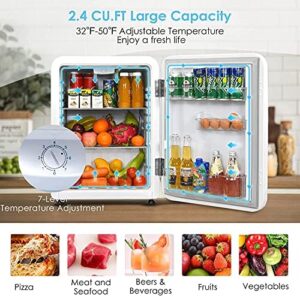 LDAILY Compact Refrigerator 2.4 cu ft Mini Fridge with Adjustable Temperature, Auto Defrost, Reversible Door, Removable Glass Shelves