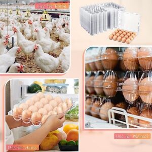 Zubebe 200 Pieces Clear Egg Cartons – Perfect for Egg Storage and Transport