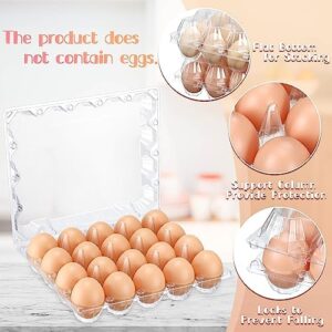 Zubebe 200 Pieces Clear Egg Cartons – Perfect for Egg Storage and Transport
