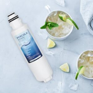 HX2019F-A Filter Replacement for Hisense® Refrigerator – Clean Water, Better Taste  