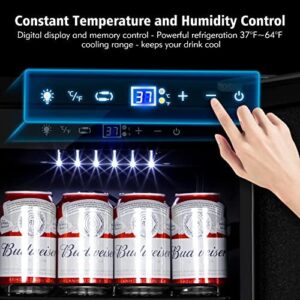 TYLZA Beverage Refrigerator – Stainless Steel Mini Fridge for Beer, Soda, Water