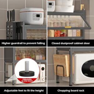 LIIAMOAR Microwave Oven Rack – Expandable Countertop Stand for Kitchen Utensils and Tableware