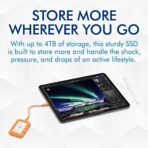 Rugged Mini SSD 4TB Solid State Drive - USB 3.2 Gen 2x2, portable and durable storage for PC, Mac, and iPad.