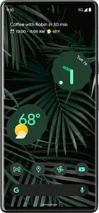 Pixel 6 Pro 5G, 128GB, 12GB RAM, Stormy Black