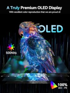 Newsoul 16" OLED Portable Monitor, 3K 120Hz, HDR Gaming Display